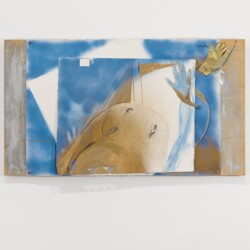 Untitled, 2009, Mixed media on paper mounted on plywood 70 x 125 x 5 cm