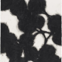 Untitled, 2019, Oil pastel on paper, 70 x 50 cm (framed: 78 x 58 x 4 cm)