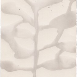 Untitled, 2017, Ink on paper, 26,2 x 24,2 cm (framed: 44 x 42 x 3 cm)