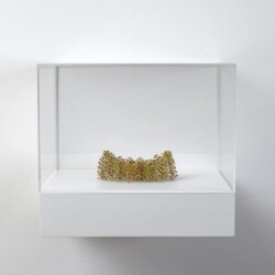 Konkave Form (concave form), 2019, Plant stalks, 4 x 12 x 8,5 cm (In Plexiglas vitrine: 22 x 25 x 23 cm)