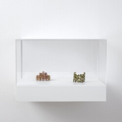 Kleines Oval (Little Oval) & Kleines Stufenform (Little Stepform), 2019, Plant stalks, 4 x 4,5 x 3,5 cm & 4 x 5 x 5 cm (In Plexiglas vitrine: 22 x 32 x 24 cm)