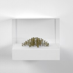 Parabelkuppel (Parabola Dome), 2019, Plant stalks, 5 x 14 x 14 cm (In Plexiglas vitrine: 22 x 25 x 25 cm)