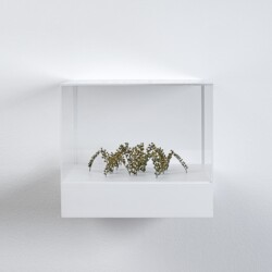 Bogenhexagon (Arched Hexagon), 2019, Plant stalks, 5,5 x 16 x 18 cm (In Plexiglas vitrine: 22 x 25 x 25 cm)