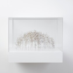 Graskubus (Grass Cube), 2019, Grass stalks, 17 x 37 x 31 cm (In Plexiglas vitrine: 37 x 45 x 40 cm)