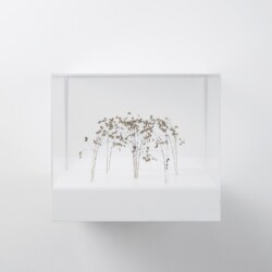 Kleine Bogenform (Little Arch Form), 2018, Grass stalks, 13 x 21 x 20 cm (In Plexiglas vitrine: 26 x 30 x 30 cm)
