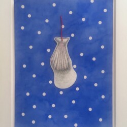 Paolo COLOMBO, Untitled (Shell with Shadow), 2018, Watercolour, pencil, braided cotton thread on paper, 31 x 23 cm