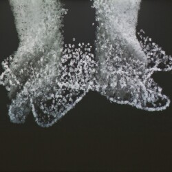 Charles SANDISON, "Sub Rosa", 2011, 1 channel data projection, computer code edition 5 + 2AP, Variable dimensions