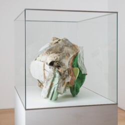 Peter Buggenhout