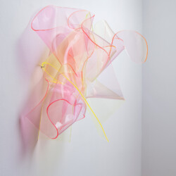 Berta Fischer