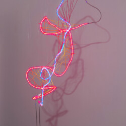 Berta Fischer