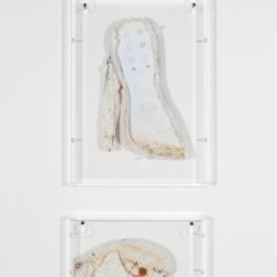 Martin MARGIELA