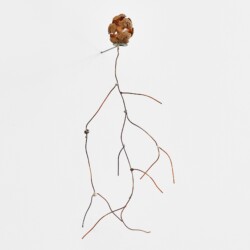 "Petit cerveau", 2020, Copper, steel, cypress, 30 x 20 x 12 cm