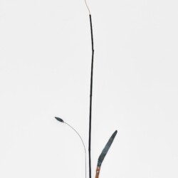 "Agrigri", 2020, Copper, Brass, Steel, Bamboo, 110 x 21 x 32 cm