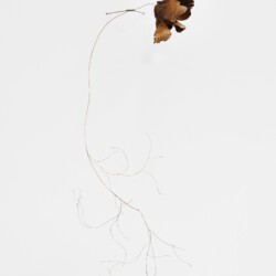 "Underground", 2020, Wolf Puff, Brass, Silver, 80 x 20 x 35 cm