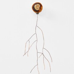 "Andromède", 2020, Citrus, Copper, Steel, Silver , 40 x 12 x 15 cm