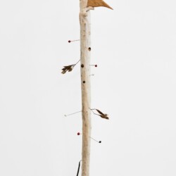"Grand Piaf", 2020, Oak, Seeds, Wood, Sealing wax, Magnets, Brass, 150 x 30 x 40 cm