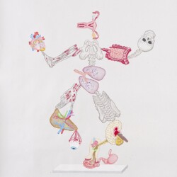 "Κος Ανανατομικός / Mr. Ananatomical", 2020, Colour pencil on paper, 100 x 88 cm