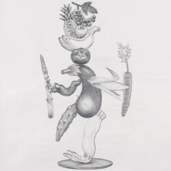 "Κολοκυθάκης (ασπρόμαυρο)/ Zuchinelo (b/w)", 2019, Colour pencil on paper, 100 x 88 cm