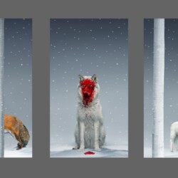 "A Winter Fable", 2017, UHD video seamless loop, Ed. 2/2, 2 AP